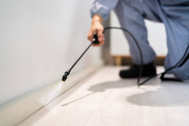 Licensed Cockroach Control service in Circle D-KC Estates, TX - Nex Pest Control