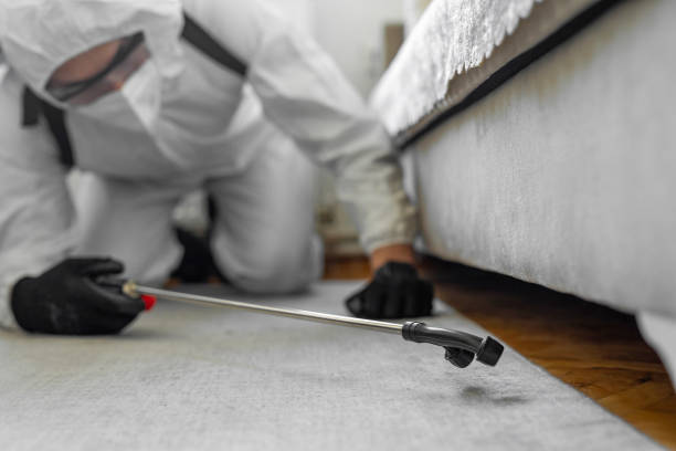 Professional Cockroach Control technician working in Circle D-KC Estates, TX