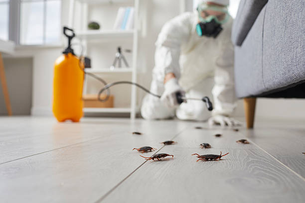 Trusted Cockroach Control service in Circle D-KC Estates, TX - Nex Pest Control