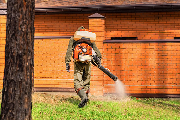 Trusted Emergency Pest Control service in Circle D-KC Estates, TX - Nex Pest Control